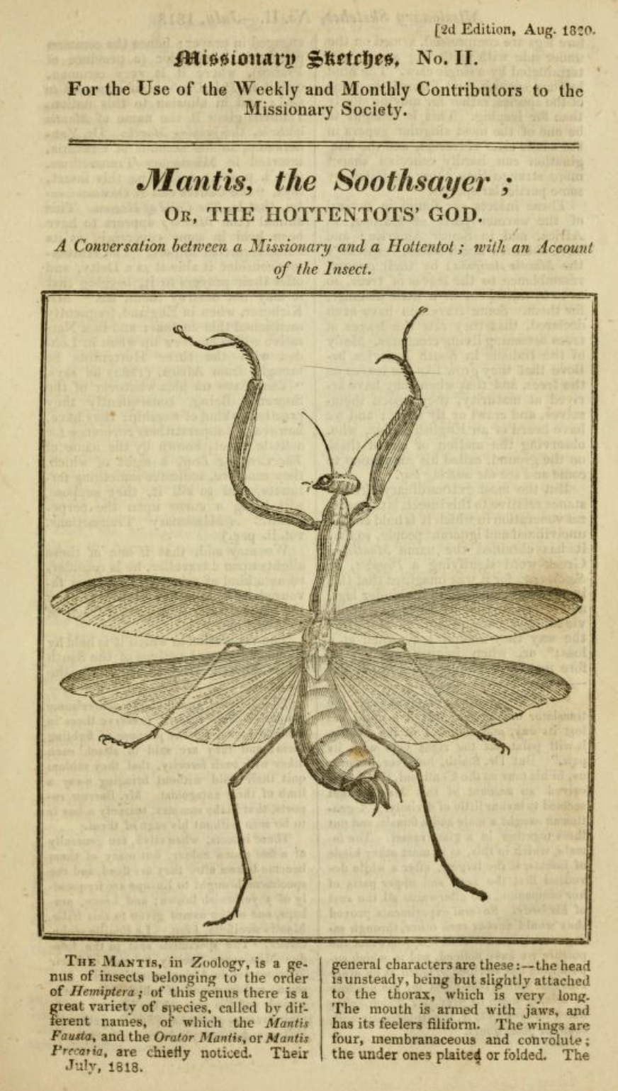 An illustration of a mantis with detailed anatomical features, accompanied by text discussing its significance in the Hottentot culture.