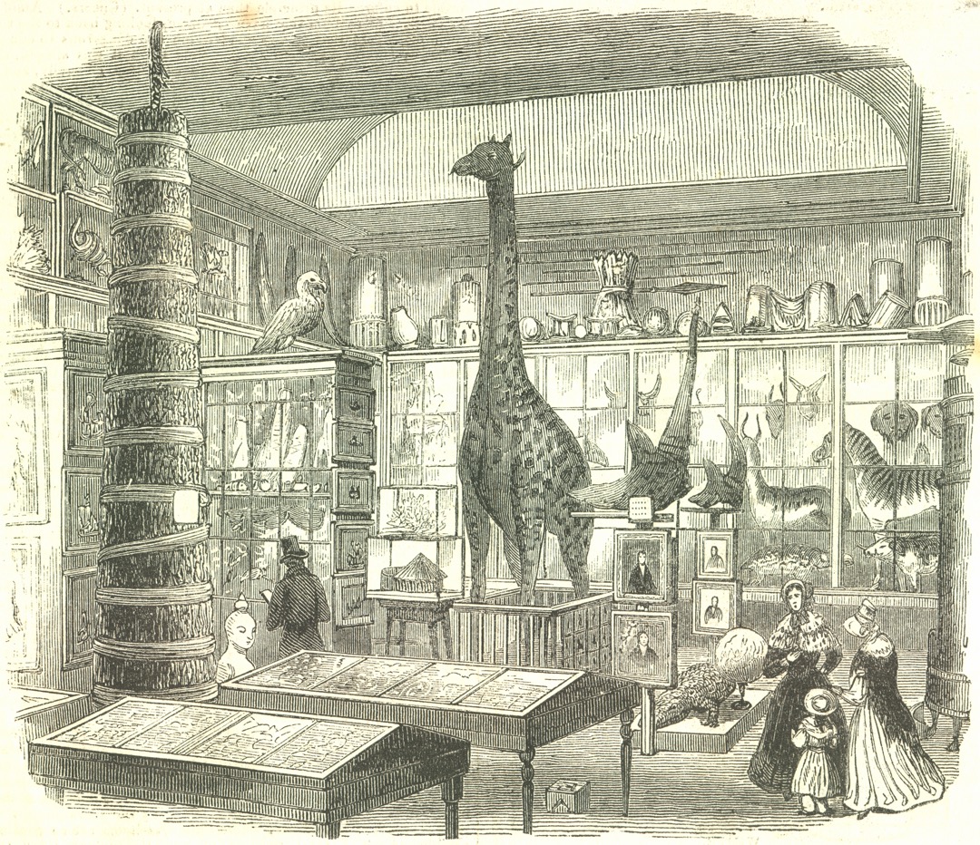 A Victorian museum filled with curiosities, including mounted animals, artefacts, and display cabinets.