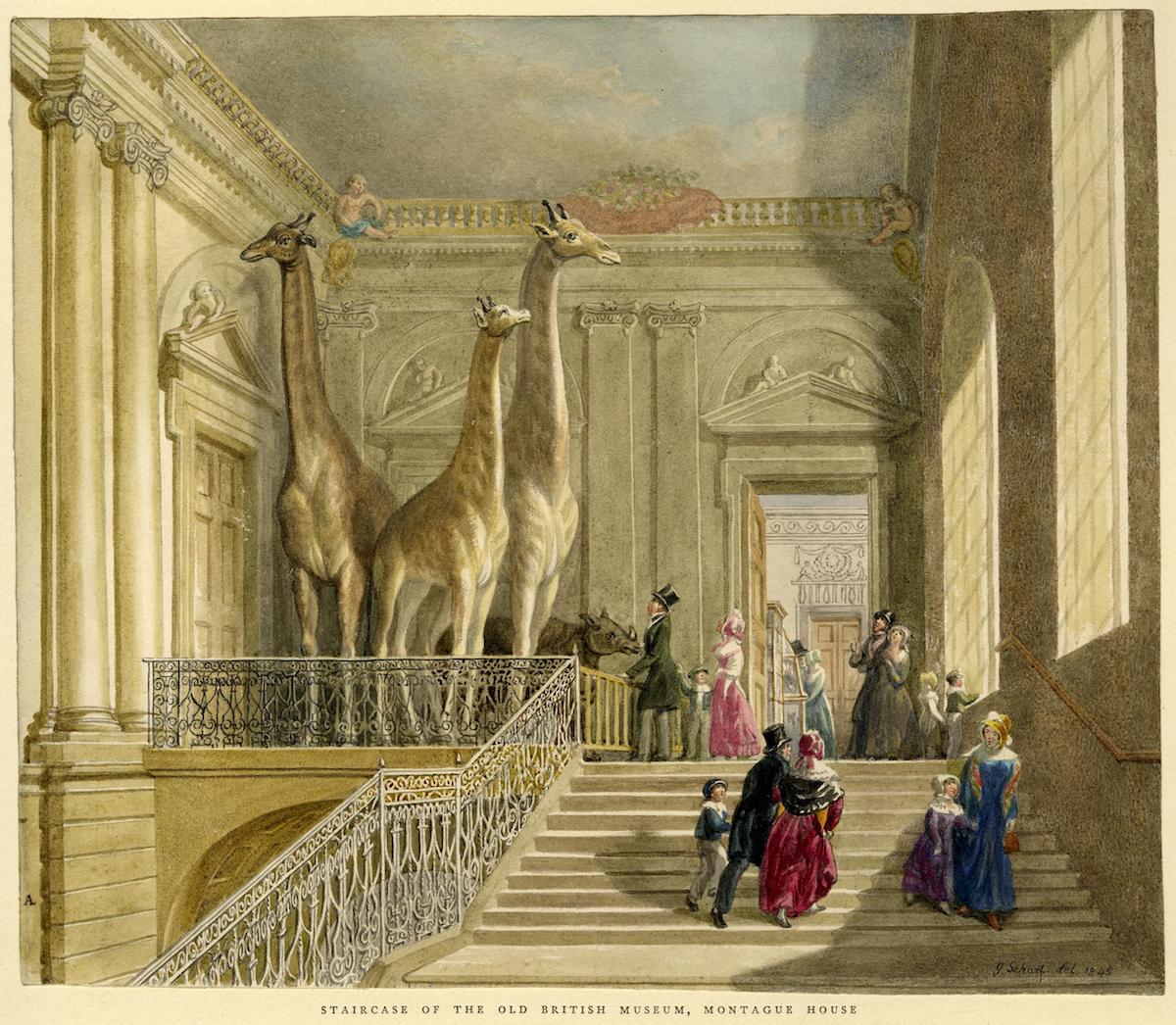 A grand staircase in the Old British Museum, showcasing two giraffes alongside elegantly dressed visitors in historical attire.