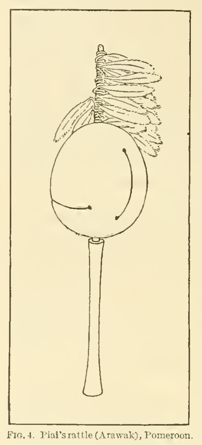 Illustration of Piai's rattle (Arawak), featuring a rounded head with feather decoration and a long handle.