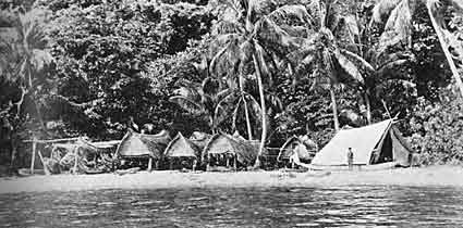 A coastal settlement with huts among palm trees, set against a lush jungle backdrop. A person stands beside a tent.